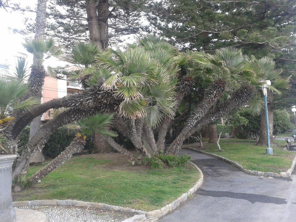Hotel Duarte Bordighera Εξωτερικό φωτογραφία